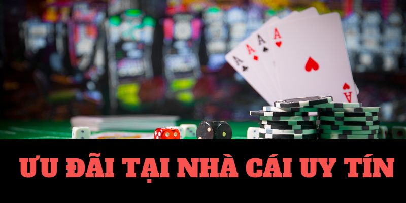 Súng Bắn Cá Thiết Bị Câu Cá Chuyên Nghiệp Giá Rẻ Nhất