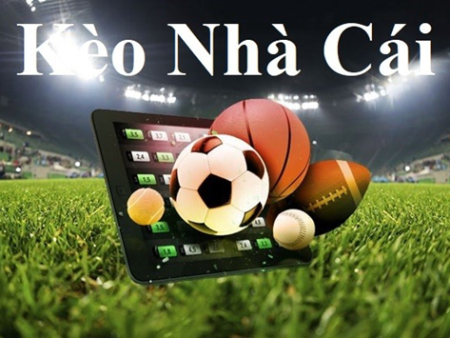 Theo Dõi Trực Tiếp Bóng Đá Hôm Nay World Cup 2022